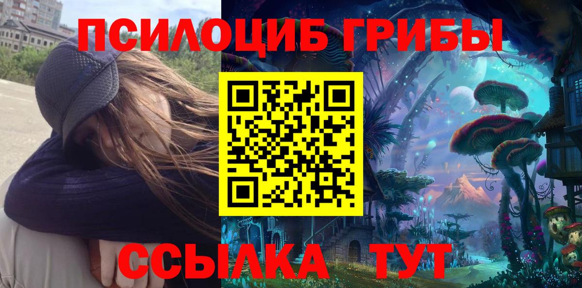 Галлюциногенные грибы Psilocybe  Вход с VPN  Балтийск 