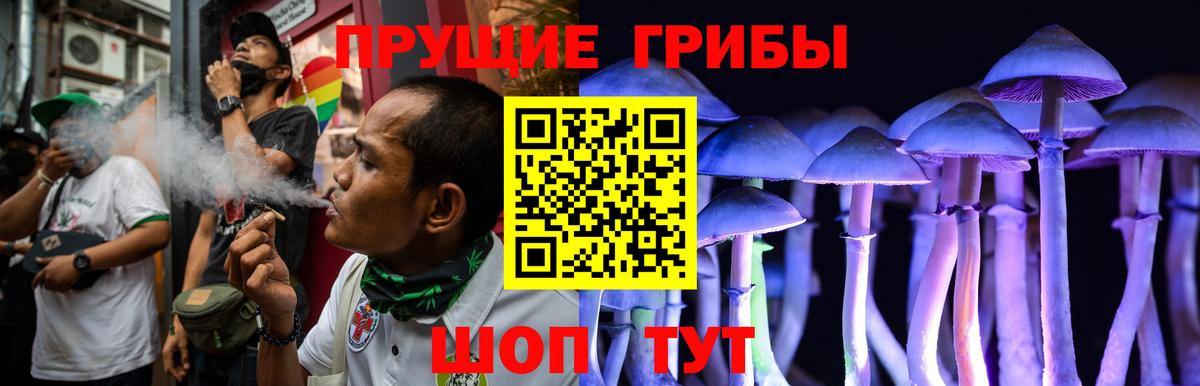 Галлюциногенные грибы мухоморы Балтийск
